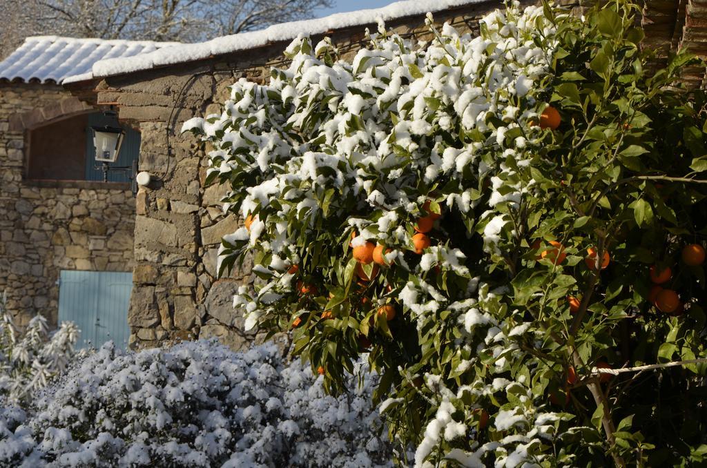 La Pierrerie Hotel Grimaud Exterior photo