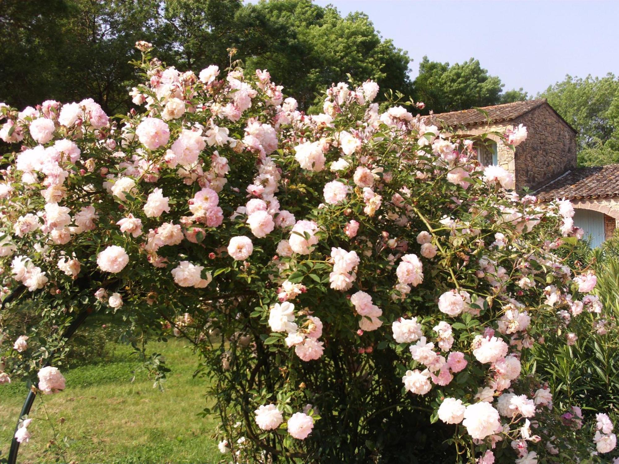 La Pierrerie Hotel Grimaud Exterior photo